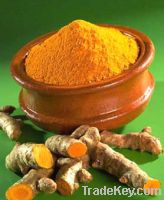 Sell Turmeric Powder