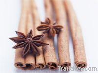 Sell whole cassia (whole cinnamon)