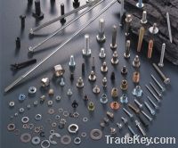 supply various kinds of fastener
