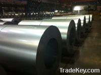 Sell Hot Dipped Galvanized