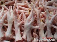  Export Chicken Paw | Chicken Feet Suppliers | Poultry Feet Exporters | Chicken Feets Traders | Processed Chicken Paw Buyers | Frozen Poultry Paw Wholesalers | Low Price Freeze Chicken Paw | Best Buy Chicken Paw | Buy Chicken Paw | Import Chicken Paw | Ch