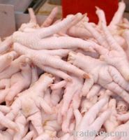 Export Chicken Paw | Chicken Feet Suppliers | Poultry Feet Exporters | Chicken Feets Traders | Processed Chicken Paw Buyers | Frozen Poultry Paw Wholesalers | Low Price Freeze Chicken Paw | Best Buy Chicken Paw | Buy Chicken Paw | Import Chicken Paw | Chi