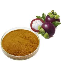 Best price of Mangosteen Extract Alpha-Mangostin