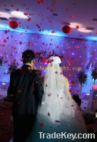 Sell LED Star cloth