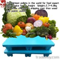 Environmental pallets for food exporters