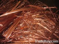 Copper Wire Scraps Suppliers | Copper Scrap Exporters | Copper Scrap Manufacturers | Cheap Copper Scrap | Wholesale Copper Scraps | Discounted Copper Scrap | Bulk Copper Scraps | Copper Scrap Buyer | Import Copper Scrap | Copper Scrap Importers | Copper S