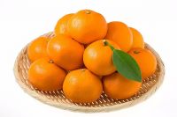 Fresh Mandarin Orange