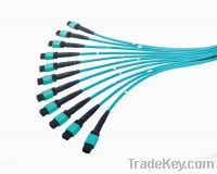 Sell MTP/MPO Patch Cord