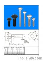 Sell DIN603 Carriage bolt