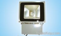 Sell 10W/20W/30W/50W/70W LED Floodlight (CJ-F004)