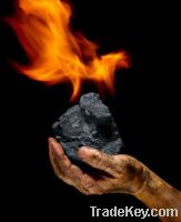 Export Indonesian Coal | Coking Coal Suppliers | Anthracite Coal Exporters | Low Sulfur Coal Traders | Steam Coal Buyers | Thermal Coal Wholesalers | Low Price Fuel Coal | Best Buy Indonesian Coal | Buy Coking Coal | Import Anthracite Coal | Thermal Coal 