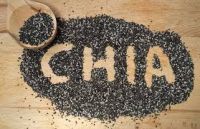 Wholesale Organic Chia Seeds at Affordable Price for Sale