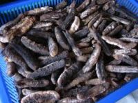 Dry sea cucumber buyer