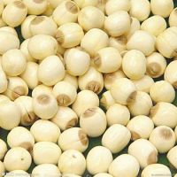 Vacuum Dried Lotus Seeds