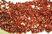 100% Natural Fresh and  Dried Pomegranate Arils