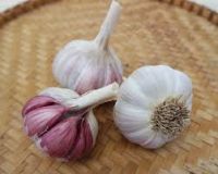High quality chinese vegetable seeds garlic seeds for planting