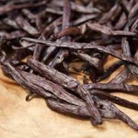 vanilla beans wholesale