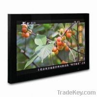 Sell 19-inch HD LCD Media Players