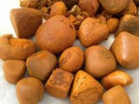 Bovine gallstones / cattle gallstones / cow gallonstones/ ox gallstones