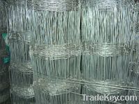 Sell kontted wire mesh fence