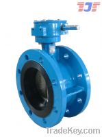 Concentric Double Flanged Butterfly Valve