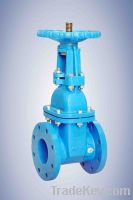 Resilient Seated Rising Gate Valve