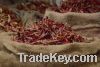 OFFER DRY RED CHILLI(FOB PRICE:US$1150 PER MT)