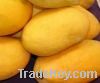 OFFER MANGO