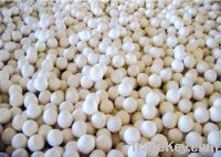 Sell Alumina Packing Ball