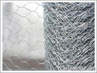 Sell Hexagonal Wire Netting