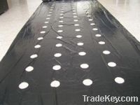 Sell LDPE black agricultural mulching film