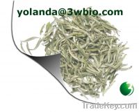 Sell White Tea Extract  // yolanda AT 3wbio DOT com