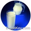 sell isolated soy protein for milk and beverage(Shengwang800)
