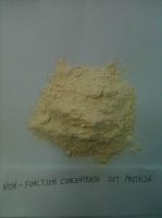 Sell Concentrated soy protein(Functional)