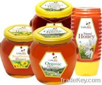 Little bee Honey products for sale in quantity