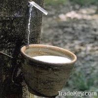 Sell natural rubber latex