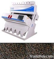 Black Pepper Sorter