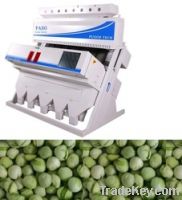 Dehydrated Peas Sorter