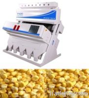 Dehydrated Sweetcorn Sorter