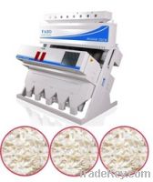 FASO Dehydrated Onion Sorting Machine - ZEBRA SERIES