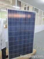 Sell 230watt poly solar panel