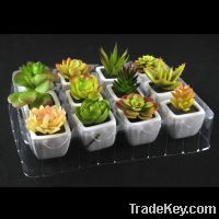 Sell artificial succulent in pot
