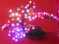 Sell LED Cherry Light