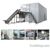Sell IQF freezer for quick frozen food