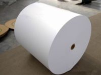 HOT!Hot sell coated paperboard