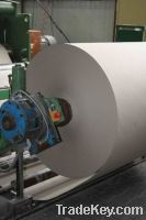 Sell Paper Reels/Rolls 150-300 gsm