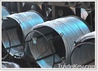 Sell Electro galvanized wire with high quality