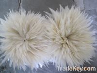 Sell feather products