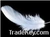 Sell goose coquills, nageories, satinette strung,