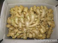 Sell air-dired ginger